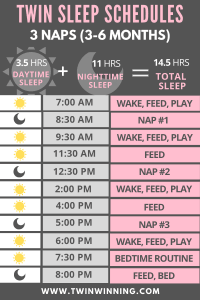 Daily Schedules for Twins - Twin Winning