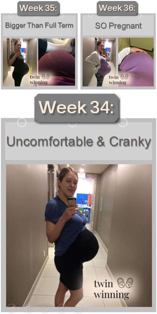 Twin Pregnancy Belly Week by Week Photos - Twin Winning