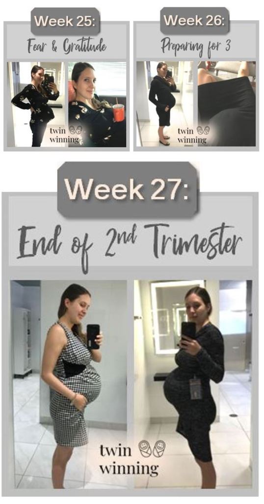 Twin Pregnancy Belly Week by Week Photos - Twin Winning