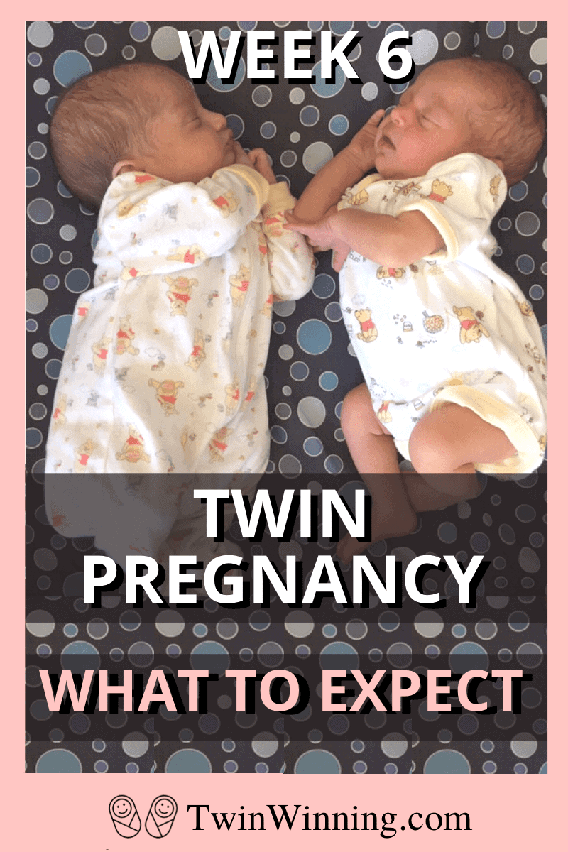 Twin Pregnancy Week 6 Symptoms To Do List Questions Twin Winning 